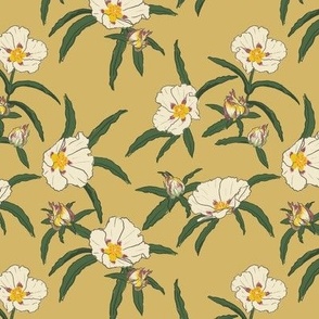 Rockrose MEDIUM - beige 6x6JPG