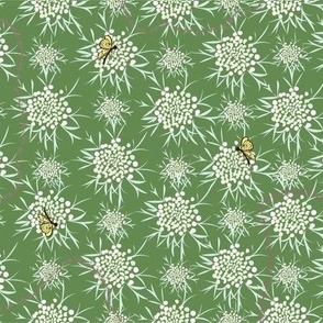 Marching through Queen Annes Lace Ants and polka dot florals