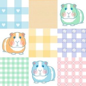 4" pastel guinea pig gingham wholecloth