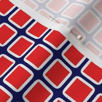 Red, White & Blue Checker Board