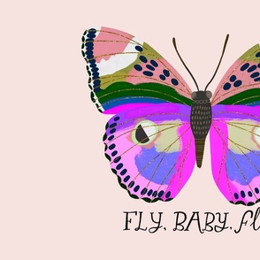 Fly Baby Fly- art 