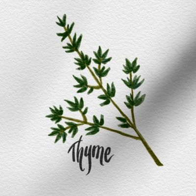 SFLYPhotoTile-THYME ©Julee Wood