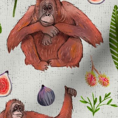 Orangutans and Figs and Rambutans (Medium)