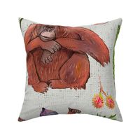 Orangutans and Figs and Rambutans (Large)