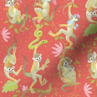 Squirrel monkeys playing in the jungle on red