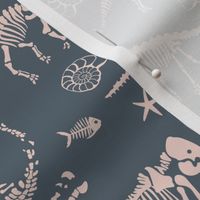 Jurassic discovery - Fossils and ammonites - paleontology and natural history design dinosaurs elephants under water creatures kids wallpaper ivory blush on cool gray blue