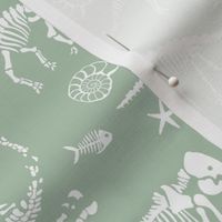 Jurassic discovery - Fossils and ammonites - paleontology and natural history design dinosaurs elephants under water creatures kids wallpaper white on soft pastel mint green