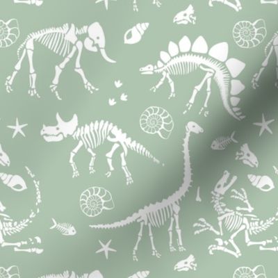Jurassic discovery - Fossils and ammonites - paleontology and natural history design dinosaurs elephants under water creatures kids wallpaper white on soft pastel mint green