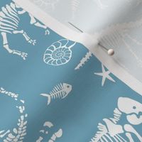Jurassic discovery - Fossils and ammonites - paleontology and natural history design dinosaurs elephants under water creatures kids wallpaper white on blue sky