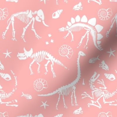 Jurassic discovery - Fossils and ammonites - paleontology and natural history design dinosaurs elephants under water creatures kids wallpaper white on pink girls