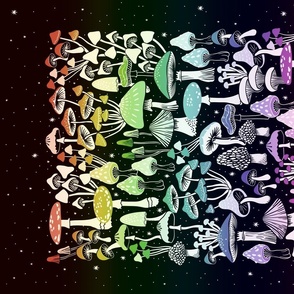 Mushrooms Rainbow Stars Shutterfly Canvas V