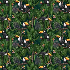 Tropical Toucans, Birds in Paradise