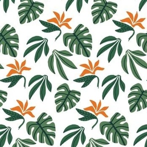 Tropical Floral - Monstera leaves and Birds of Paradise Flowers