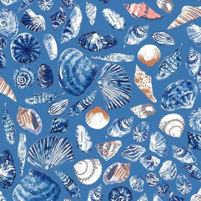 shells blue
