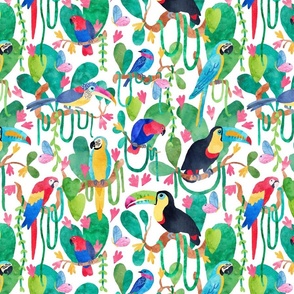 Amazon Bird Paradise - medium-large scale