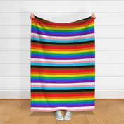 Pride Flag, Progressive Flag, LGBT Gay Rainbow Pride Flag Fabric