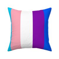 Pride Flag, Progressive Flag, LGBT Gay Rainbow Pride Flag Fabric