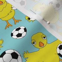 Soccer Chick Petal Solid Color Coordinates Pool