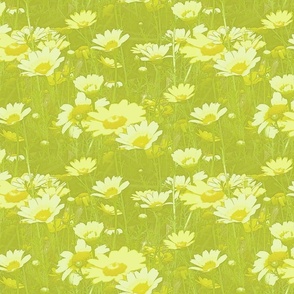 Field of Daisies in Yellow-Green Monochrome