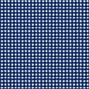 watercolor gingham navy mini