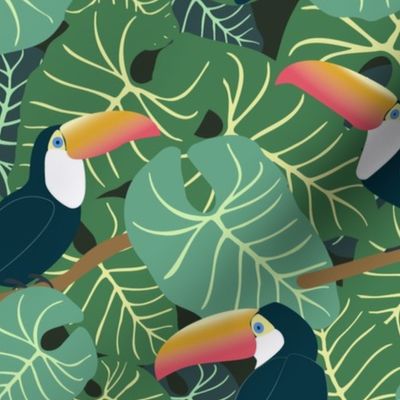 Tropical Toucans in the Joyful Jungle