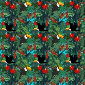 Toucans in the Jungle