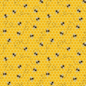 Honey Bees Flight Path