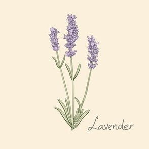 Lavender Shutterfly Photo Tile