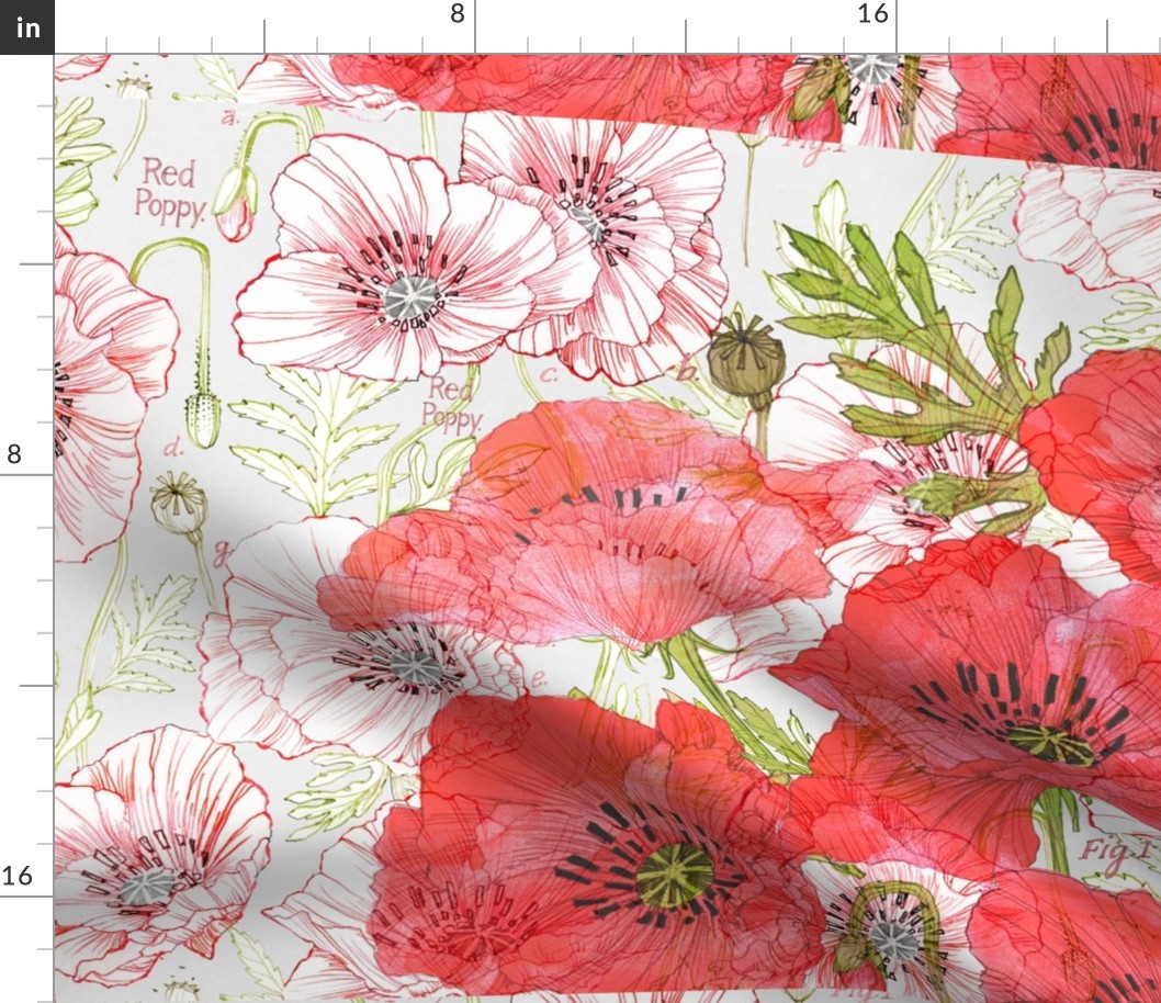 Shutterfly Canvas Romance Poppies Cropped