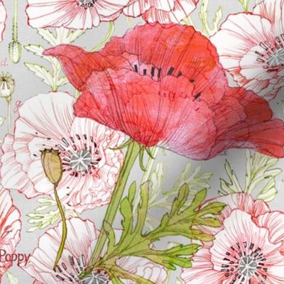 ShutterflyTile_Poppies1