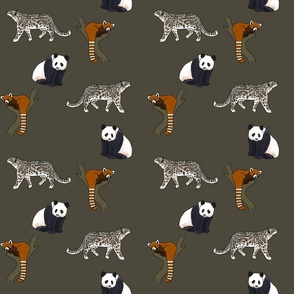 Pandas and Leopards Jungle Pattern (medium)