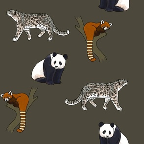 Pandas and Leopards Jungle Pattern (large)