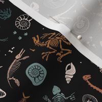 Jurassic discovery - Fossils and ammonites - paleontology studies and natural history design dinosaurs elephants shells under water creatures kids wallpaper white on neutral rust sienna teal on black