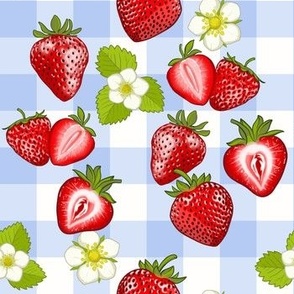 Juicy Strawberries - Blue gingham Check