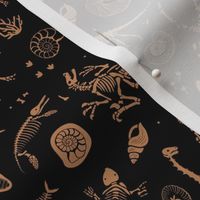 Jurassic discovery - Fossils and ammonites - paleontology studies and natural history design dinosaurs elephants shells under water creatures kids wallpaper golden rust sienna teal on black