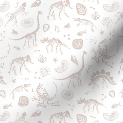 Jurassic discovery - Fossils and ammonites - paleontology studies and natural history design dinosaurs elephants shells under water creatures kids wallpaper earthy beige sand on white 