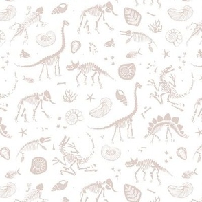 Jurassic discovery - Fossils and ammonites - paleontology studies and natural history design dinosaurs elephants shells under water creatures kids wallpaper earthy beige sand on white 