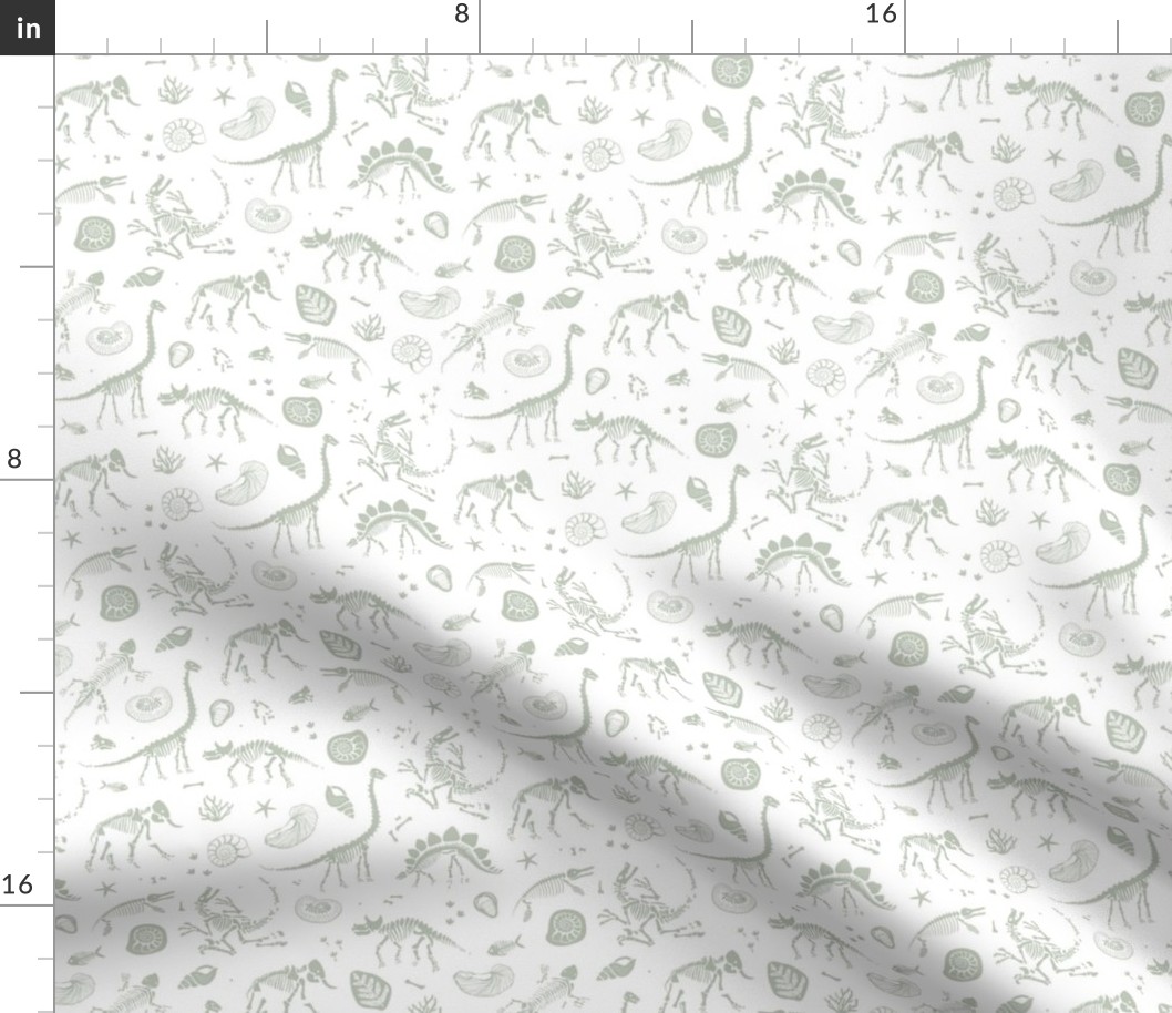 Jurassic discovery - Fossils and ammonites - paleontology studies and natural history design dinosaurs elephants shells under water creatures kids wallpaper earthy sage green on white