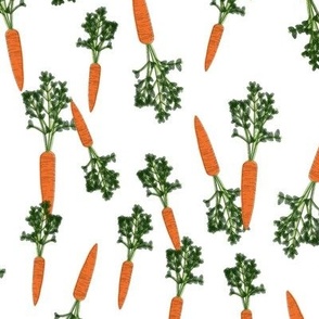 Veggie Lover Carrot Pattern