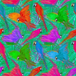 sketchy rainbow macaws jungle by rysunki_malunki
