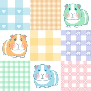 6" pastel guinea pig gingham wholecloth