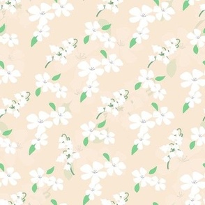 Lily of the valley- cream