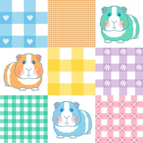 6" guinea pig gingham wholecloth