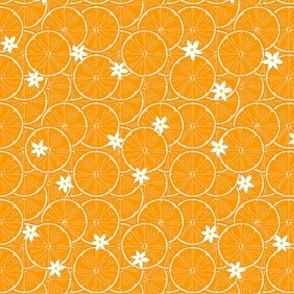 Orange slices with blooms