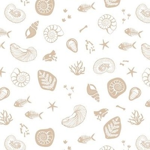Jurassic discovery - seas shell fossils ocean fish bones and skulls ammonites and fossils kids design beige tan on white 