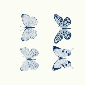 Blue butterflies 