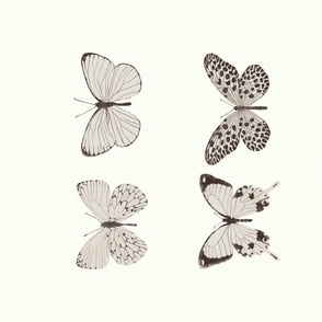 Neutral butterflies 