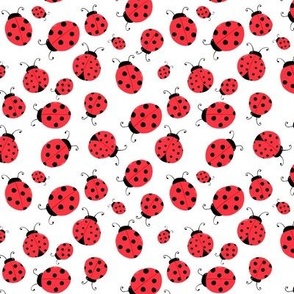 Small - LadyBugs_White