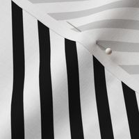 Diagonal Black and White Stripes 