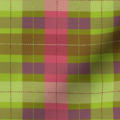 (S) Plaid in kelly green and raspberry pink